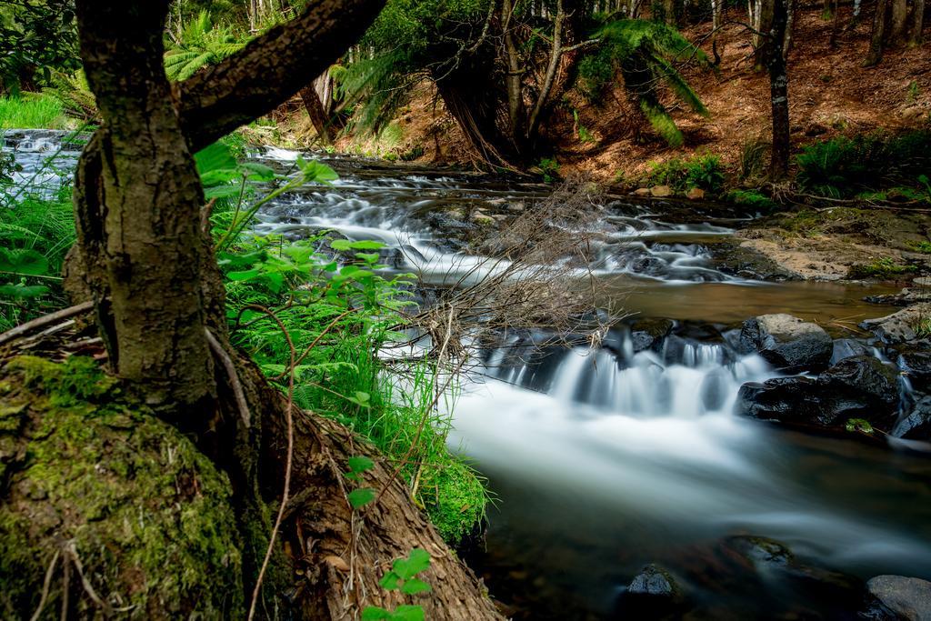 Big4 Tassie Getaway Park أولفيرستون المظهر الخارجي الصورة